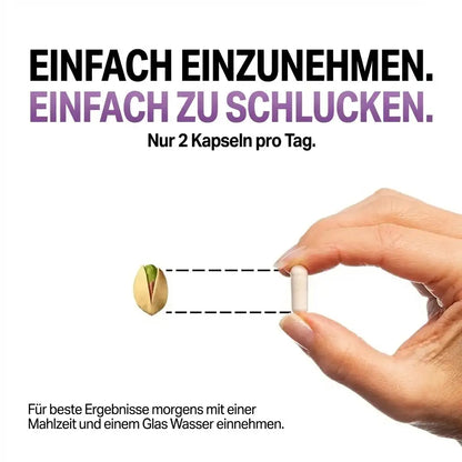 6-in-1 Lymphatischer Komplex