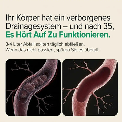 6-in-1 Lymphatischer Komplex