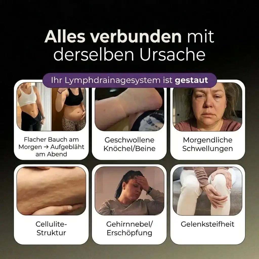 6-in-1 Lymphatischer Komplex