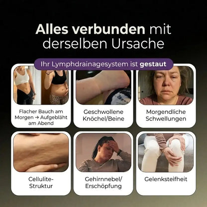 6-in-1 Lymphatischer Komplex